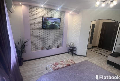 Уютная квартира возле Грина с кондиционером