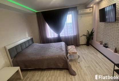 Уютная квартира возле Грина с кондиционером