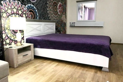 Рядом,  ТЦ "ТРИО"  " Мега" " ОМЕГА" , Ледовый двор