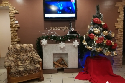 Усадьба на берегу озера. Витебск, д. Городняны, Центральная улица, 44