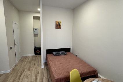 Уютная студия в стиле лофт