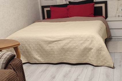 Современная квартира в центре с евроремонтом