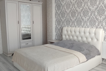 Шикарные апартаменты в центре